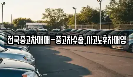 경남 김해시 한림면 중고차매입 전문 전국중고차매매-중고차수출,사고노후차매입