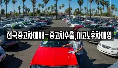 경남 김해시 한림면 중고차매입 전문 전국중고차매매-중고차수출,사고노후차매입