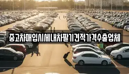 경남 김해시 한림면 중고차매입 전문 중고차매입시세내차팔기견적가격수출업체