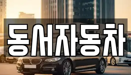 경남 창원시 마산합포구 월남동4가 중고차매매 전문 동서자동차