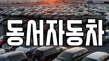 경남 창원시 마산합포구 청계동 중고차매매 전문 동서자동차