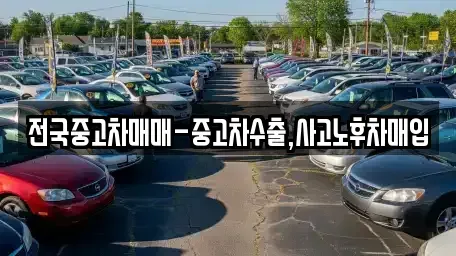 경남 창원시 마산합포구 청계동 중고차매입 전문 전국중고차매매-중고차수출,사고노후차매입