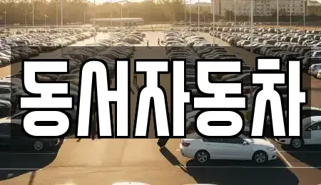 경남 창원시 마산합포구 홍문동 중고차 전문 동서자동차