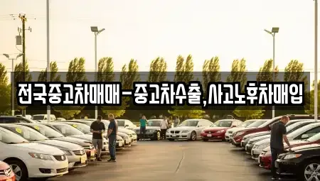 경남 창원시 마산합포구 홍문동 중고차매입 전문 전국중고차매매-중고차수출,사고노후차매입