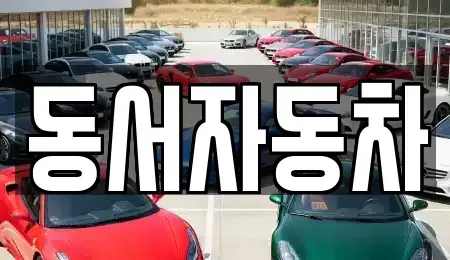 경남 창원시 진해구 회현동 중고차 전문 동서자동차