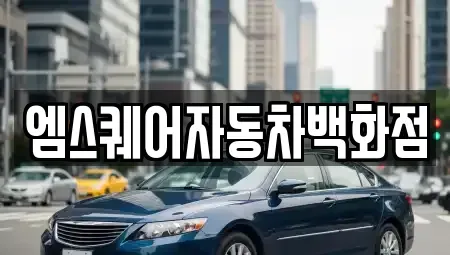 경북 경산시 대정동 중고차매매 전문 엠스퀘어자동차백화점