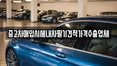 경북 경산시 대정동 중고차매입 전문 중고차매입시세내차팔기견적가격수출업체