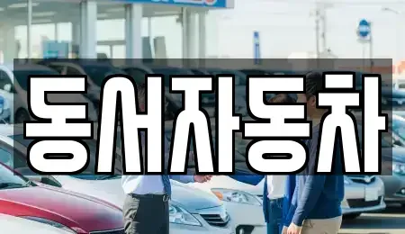 경북 경산시 여천동 중고차 전문 동서자동차