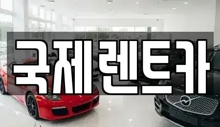 경북 구미시 상모동 렌트카 전문 국제렌트카