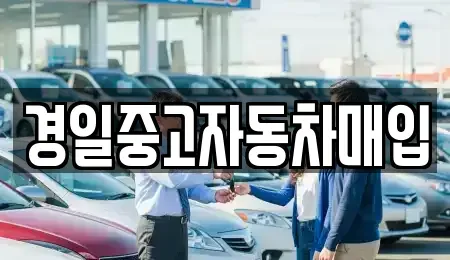 경북 구미시 진평동 중고차 전문 경일중고자동차매입