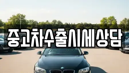 경북 구미시 진평동 중고차 전문 중고차수출시세상담