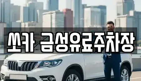 경북 안동시 동부동 렌트카 전문 쏘카 금성유료주차장