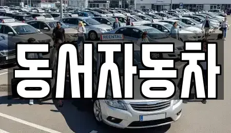 경북 청도군 풍각면 중고차매매 전문 동서자동차