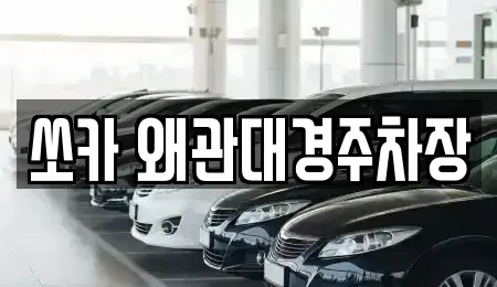 경북 칠곡군 약목면 렌트카 전문 쏘카 왜관대경주차장