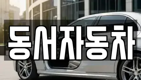 경북 칠곡군 약목면 중고차 전문 동서자동차