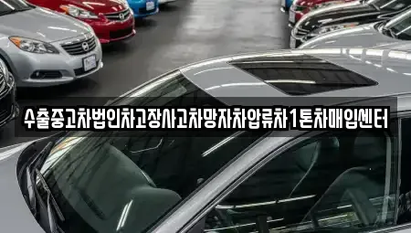 경북 포항시 북구 환호동 중고차 전문 수출중고차법인차고장사고차망자차압류차1톤차매입센터
