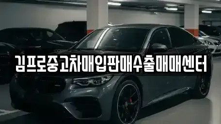 경상남도 남해군 남해읍 중고차매매 전문 김프로중고차매입판매수출매매센터