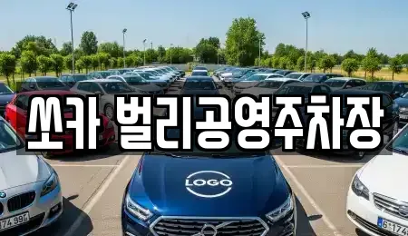 경상남도 사천시 좌룡동 렌트카 전문 쏘카 벌리공영주차장