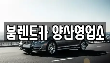 경상남도 양산시 북부동 렌트카 전문 붐렌트카 양산영업소