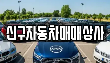 경상남도 양산시 북부동 중고차매매 전문 신구자동차매매상사