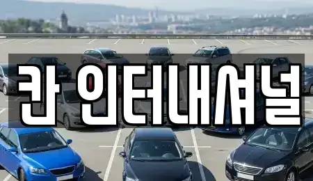 경상남도 창원시 성산구 성산동 중고차 전문 칸 인터내셔널