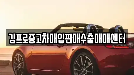 경상남도 창원시 성산구 성산동 중고차매입 전문 김프로중고차매입판매수출매매센터