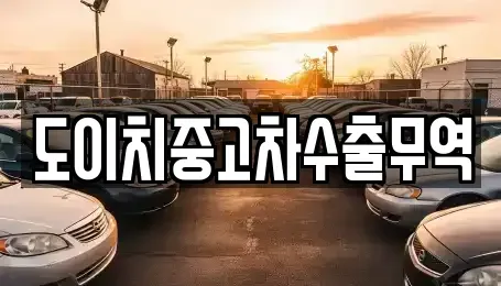 경상남도 창원시 성산구 천선동 중고차 전문 도이치중고차수출무역