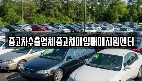 경상남도 창원시 성산구 천선동 중고차매입 전문 중고차수출업체중고차매입매매지원센터