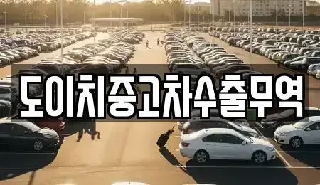 경상남도 창원시 진해구 두동 중고차 전문 도이치중고차수출무역