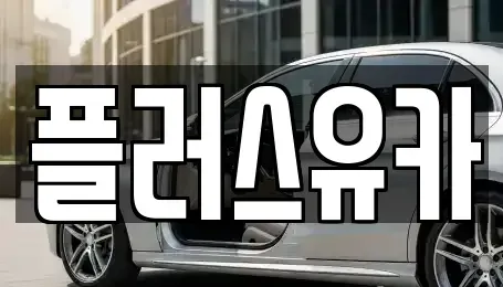 경상남도 창원시 진해구 두동 중고차 전문 플러스유카