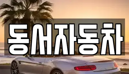 경상북도 경주시 동천동 중고차 전문 동서자동차