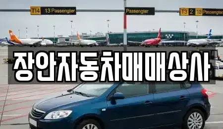 경상북도 경주시 동천동 중고차 전문 장안자동차매매상사