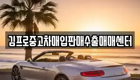 경상북도 영천시 조교동 단기렌트카,중고차매입,중고차매매,중고차,렌트카,장기렌트카