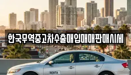 경상북도 영천시 조교동 중고차매입 전문 한국무역중고차수출매입매매판매시세