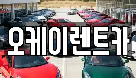 경상북도 영천시 화룡동 렌트카 전문 오케이렌트카