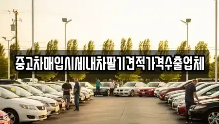 경상북도 영천시 화룡동 중고차매입 전문 중고차매입시세내차팔기견적가격수출업체