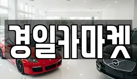 경상북도 칠곡군 기산면 중고차 전문 경일카마켓