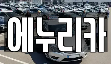 경상북도 칠곡군 기산면 중고차 전문 에누리카