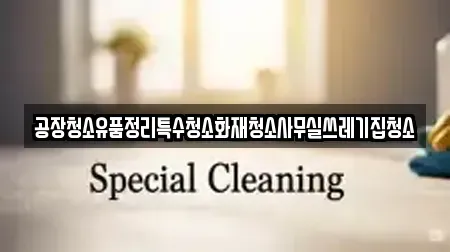 공장청소유품정리특수청소화재청소사무실쓰레기집청소