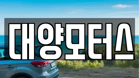 광주 광산구 사호동 중고차 전문 대양모터스
