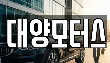 광주 동구 궁동 중고차 전문 대양모터스