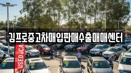 광주 동구 궁동 중고차매입 전문 김프로중고차매입판매수출매매센터