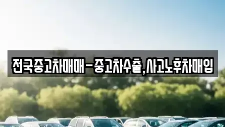 광주 동구 수기동 중고차 전문 전국중고차매매-중고차수출,사고노후차매입