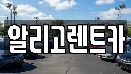 광주 북구 단기렌트카 전문 알리고렌트카