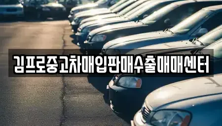 광주 북구 중고차 전문 김프로중고차매입판매수출매매센터