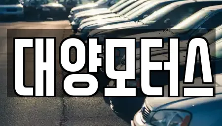 광주광역시 광산구 송치동 중고차매매 전문 대양모터스