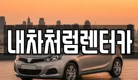 대구 중구 대봉동 렌트카 전문 내차처럼렌터카