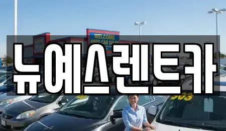 대구 중구 대봉동 렌트카 전문 뉴예스렌트카