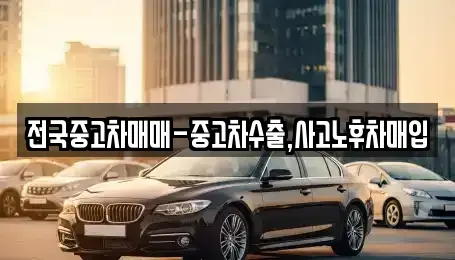 대구 중구 대봉동 중고차매입 전문 전국중고차매매-중고차수출,사고노후차매입