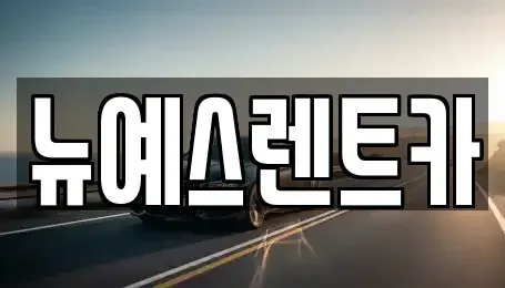 대구 중구 서성로1가 렌트카 전문 뉴예스렌트카